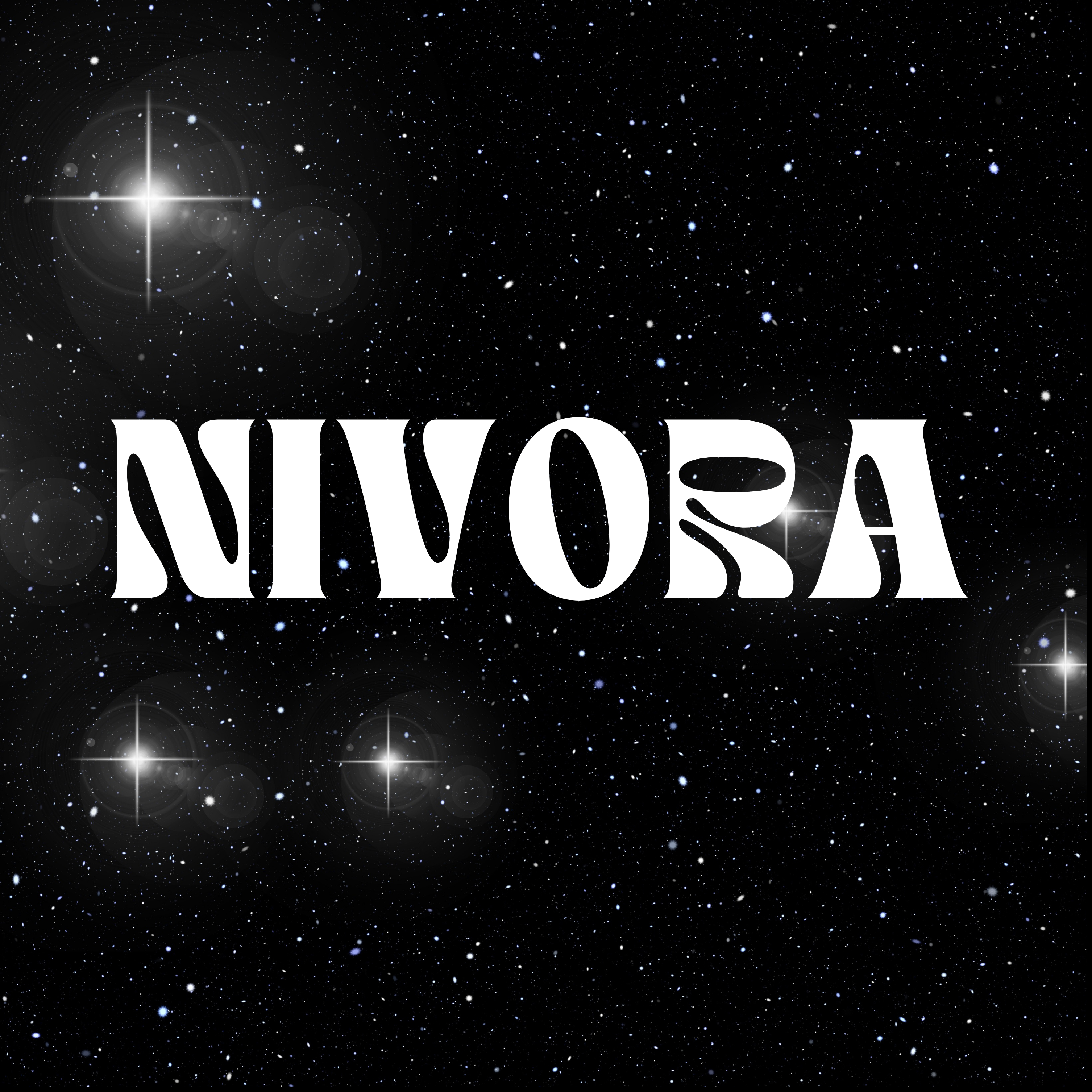 Nivora Search