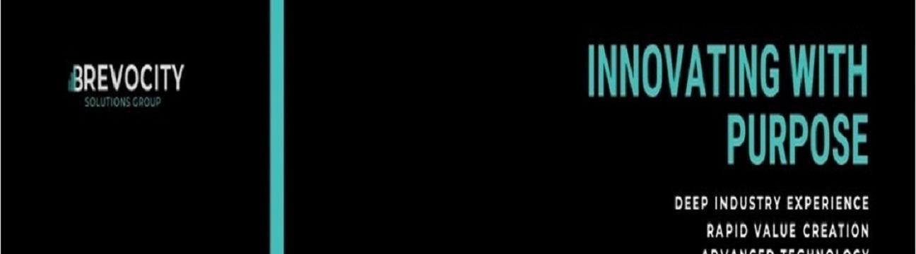 Brevocity Solutions Group